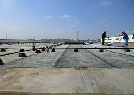 上?；瘜W(xué)建材協(xié)會(huì)防水材料及技術(shù)分會(huì)成立，公司董...